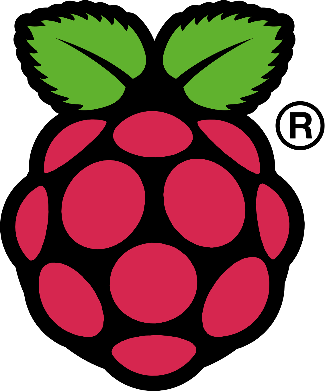 Raspberry_pi-logo Raspberry_pi-logo